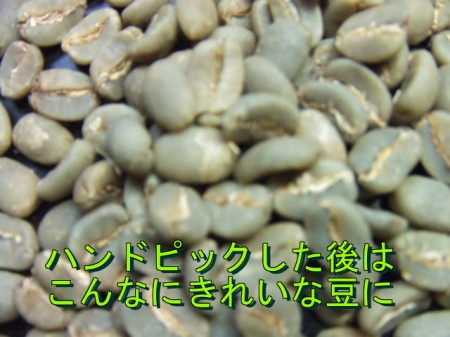ダブル焙煎　バリ・アラビカ・神山(豆)