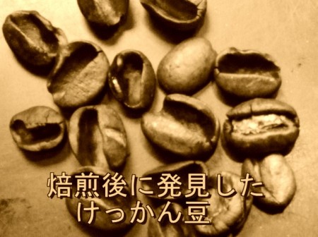 ダブル焙煎　バリ・アラビカ・神山(粉)